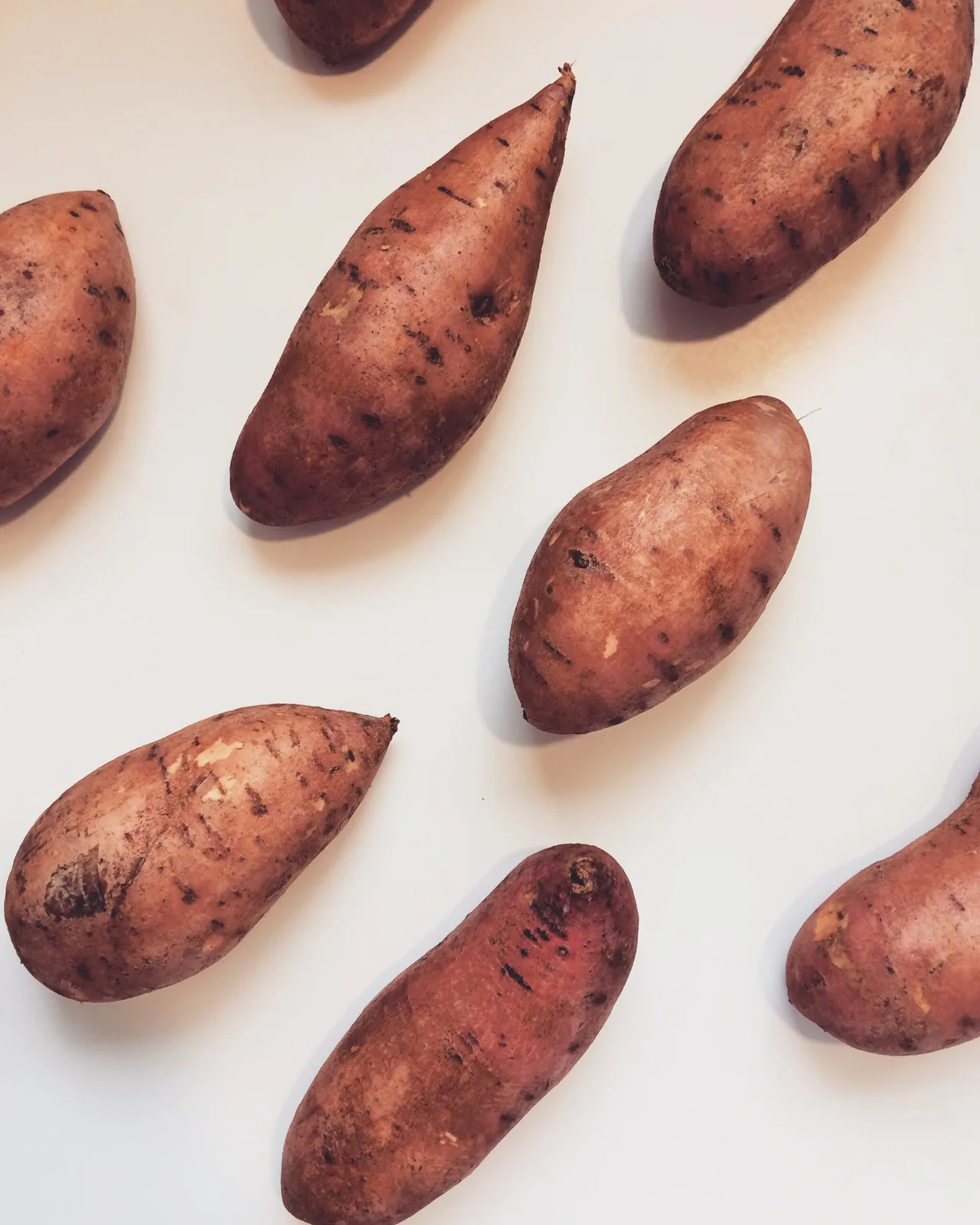 Las batatas podrían evitar que la crisis mundial del trigo se arraigue en África