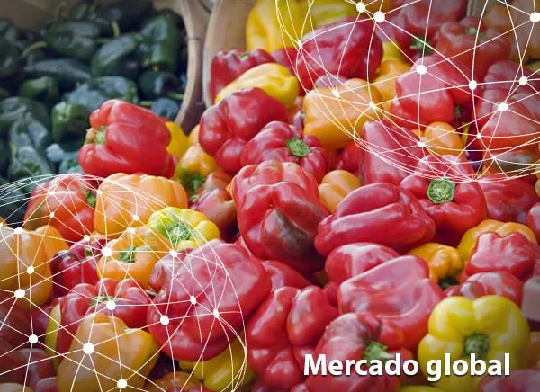 Resumen del mercado global del pimiento