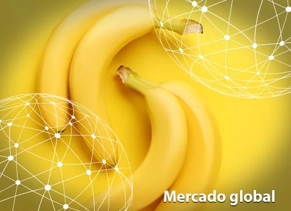 Resumen del mercado global de la banana