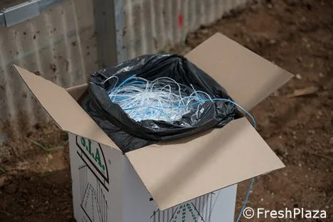 Internacional: ¿Cómo ahorrar mano de obra, tiempo y dinero en el cultivo en invernadero?