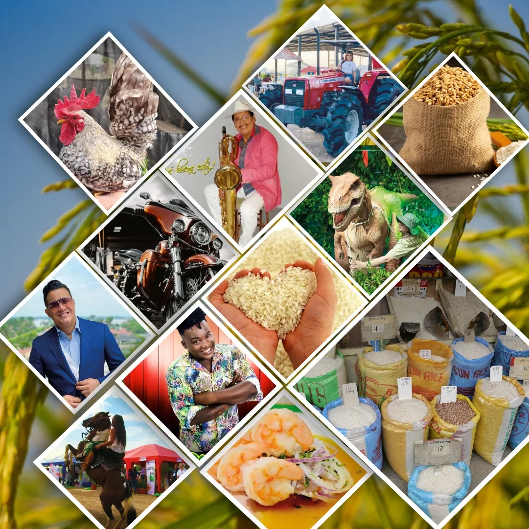 La cadena arrocera de Ecuador se unirá este 10 de septiembre en un solo lugar en ExpoArroz 2022