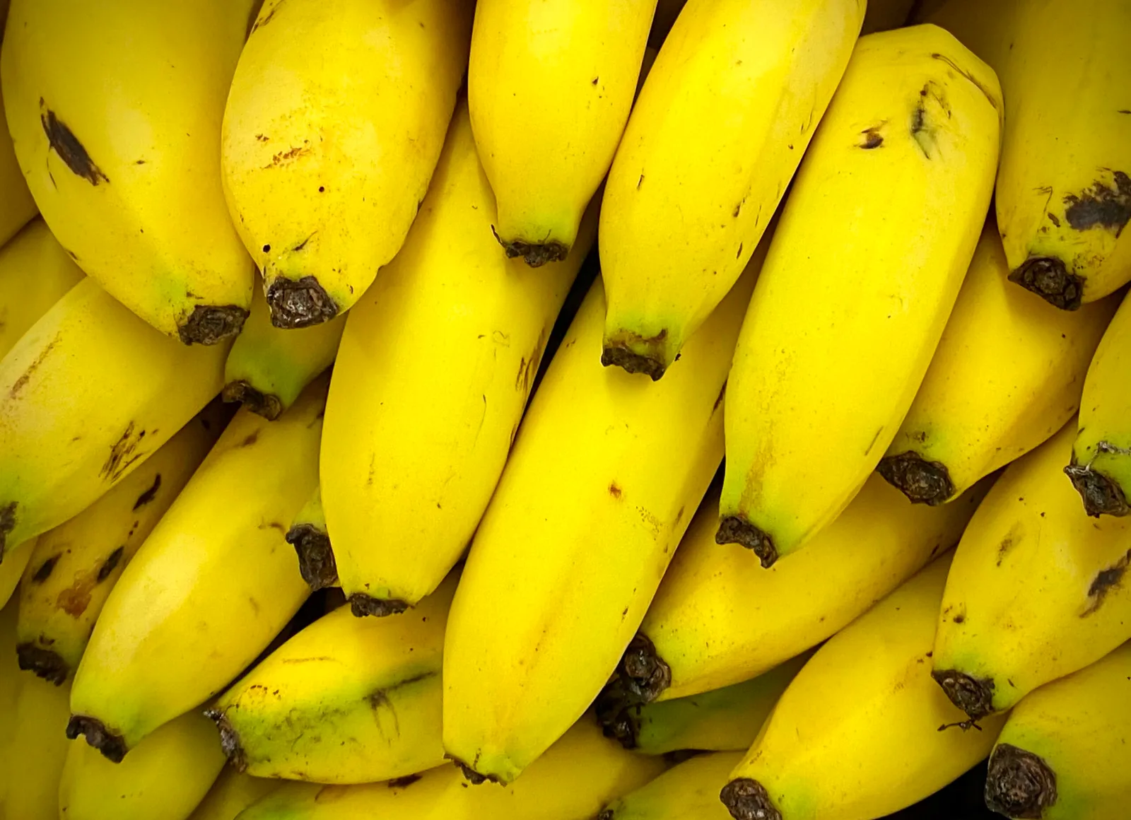 Internacional: Las bananas de Costa Rica costaron 0,93 £ en la semana 32, sin cambios con respecto a la semana anterior