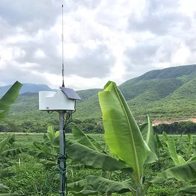 Próximamente AEBE inaugurará la red de Estaciones Meteorológicas para el sector bananero