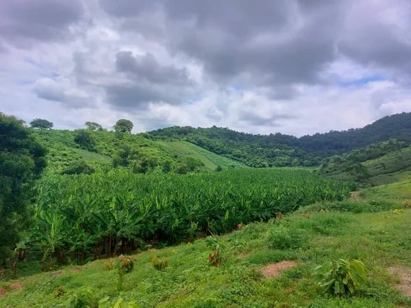 “Con esta iniciativa buscamos cambiar el rumbo agrícola de Ecuador y llevarlo a un entorno orgánico ambiental”