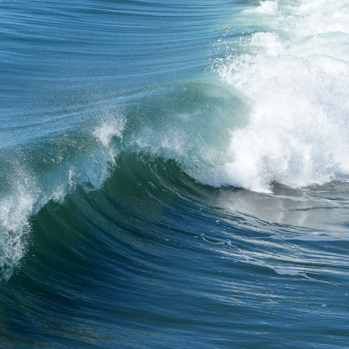 El Instituto Oceanográfico y Antártico de la Armada alerta sobre el estado del mar