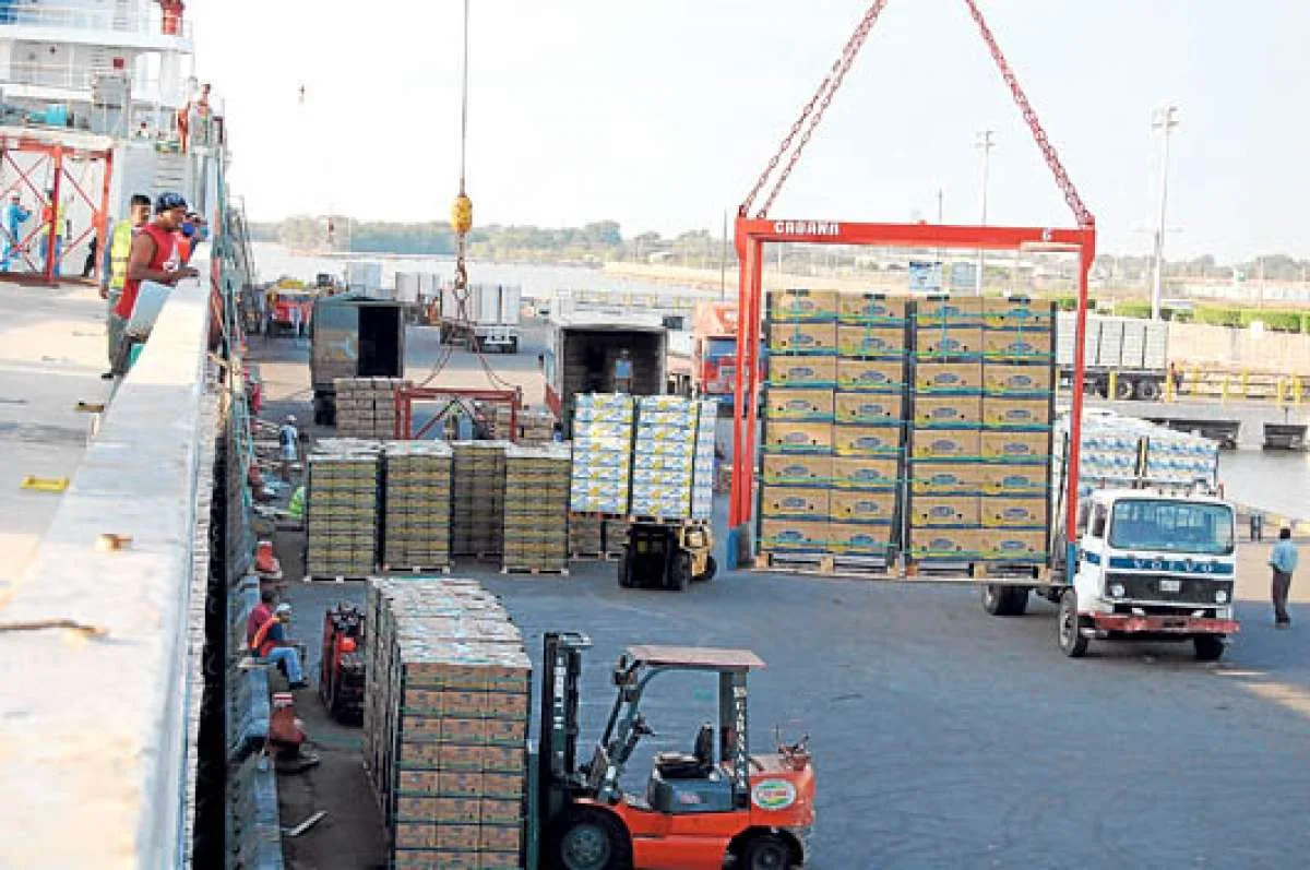 CORDEX solicita al Gobierno definir el procedimiento operativo para el escaneo de la carga de exportación