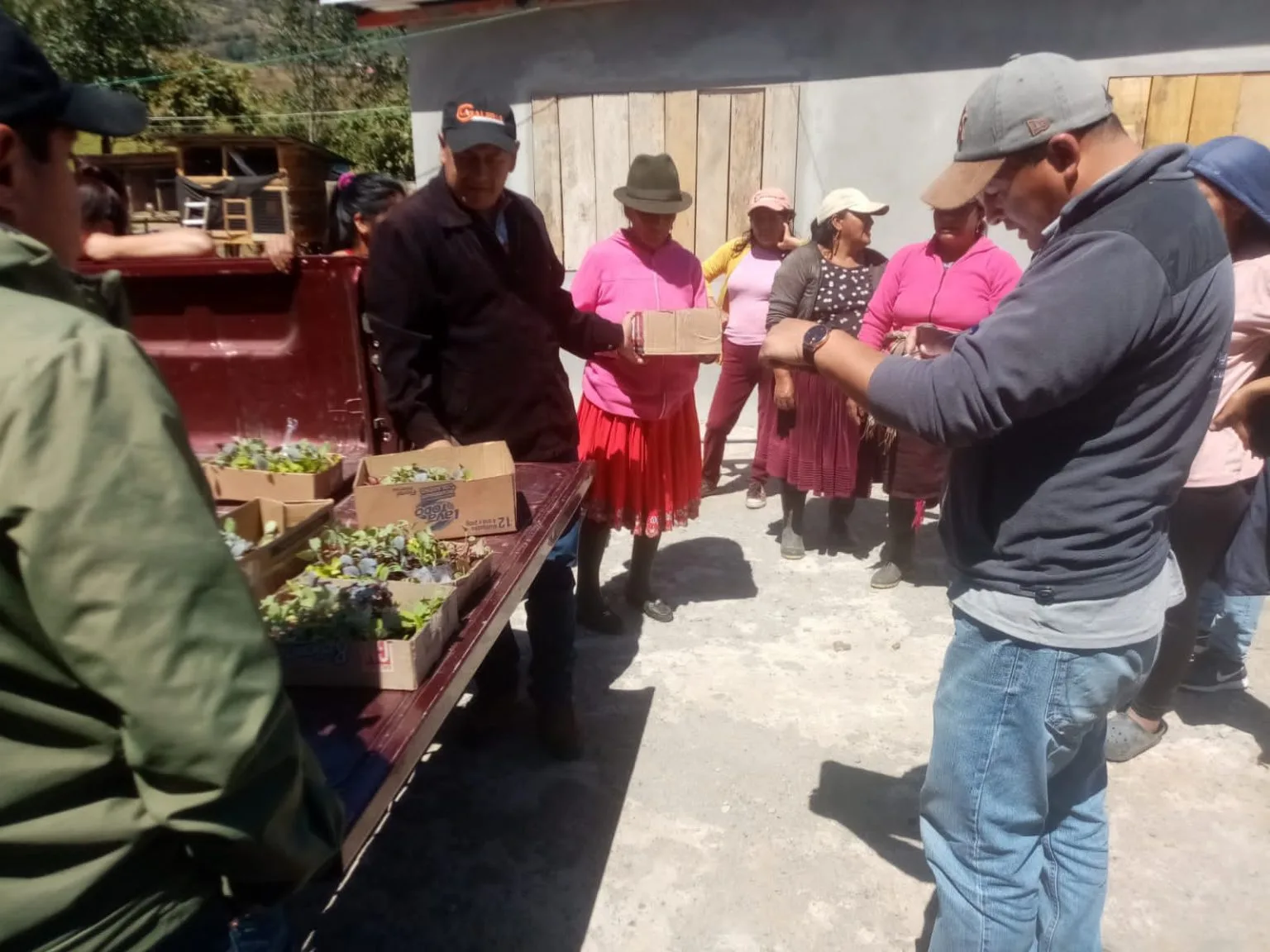 Productores de Ducur se benefician con la entrega de kits de hortalizas