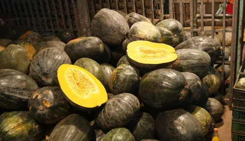Internacional: Pigmentos de ahuyama, una solución agrícola para reemplazar colorantes químicos