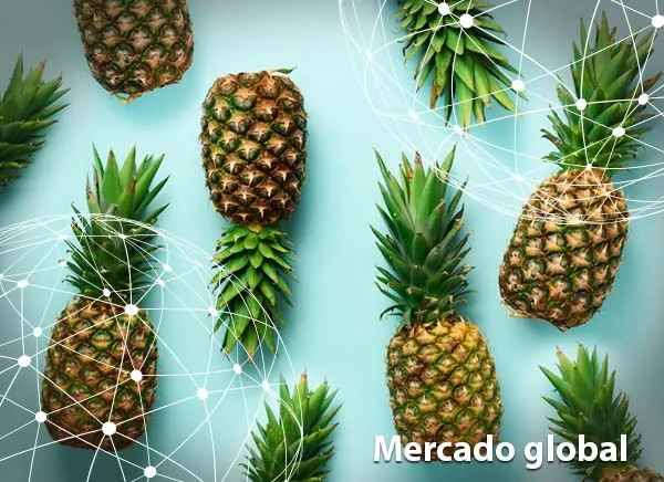 Resumen del mercado global de la piña