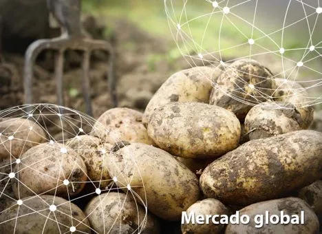 Resumen del mercado global de la patata