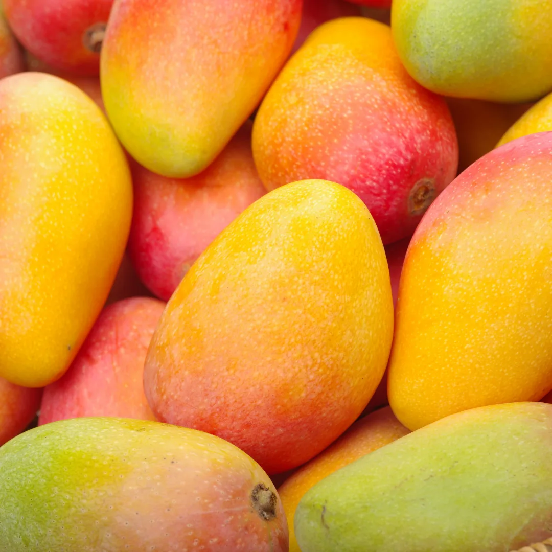 Ecuador a la espera de un aumento de la producción de mango este año