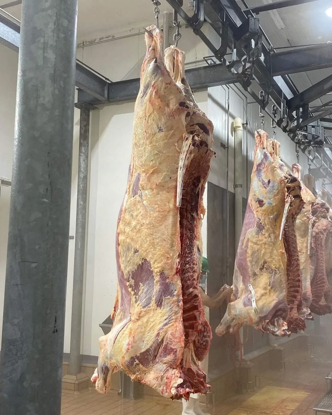 Ganaderos piden se impulse la creación del clúster de la carne