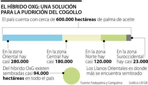 Internacional: El gremio Palmicultor tiene un híbrido que es resistente a la enfermedad del cogollo