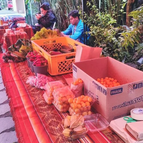 Feria productiva ‘La Yapita’ de Lligua se reactiva