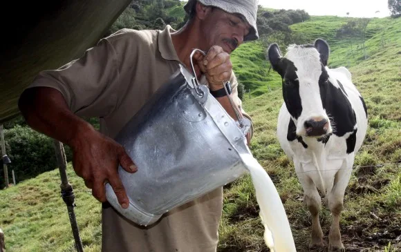 Suplementación con ensilaje de frutas en vacas doble propósito: digestibilidad y producción láctea