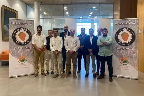 Internacional: Nace la marca ‘Mango de Málaga’ para distinguir el origen de la principal zona productora de Europa