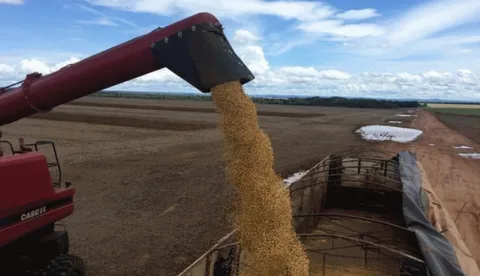 Internacional: Argentina creó una nueva tasa de cambio para exportaciones de soja hasta octubre