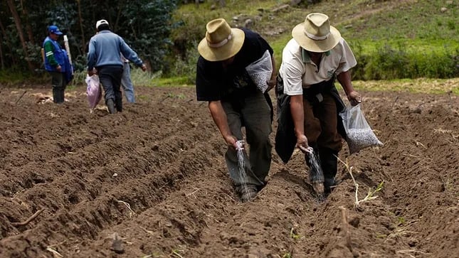 Internacional: Gobierno aprueba creación de “FERTIABONO” para garantizar campaña agrícola 2022-2023