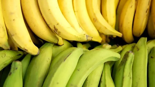 Internacional: El conflicto entre Rusia y Ucrania complica las exportaciones de banana de Costa Rica
