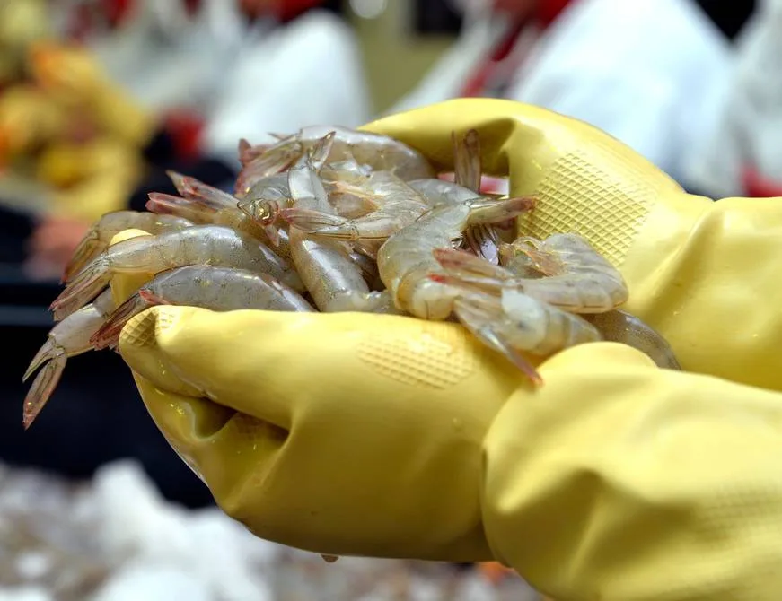 Pabellón ecuatoriano 'First Class Shrimp' marcarà historia en la Seafood Expo North America de Boston"