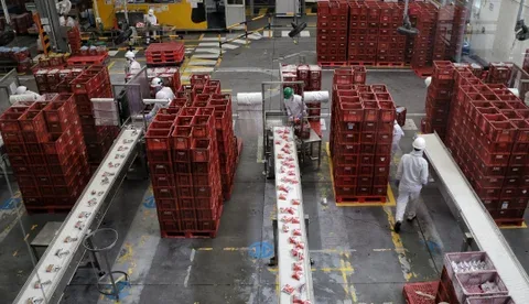 Internacional: Sector ganadero colombiano podrá exportar leche y productos lácteos a Uruguay