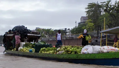 Internacional: Se han exportado más de 61 millones de cajas de banano de 20 kilos, según ASBAMA