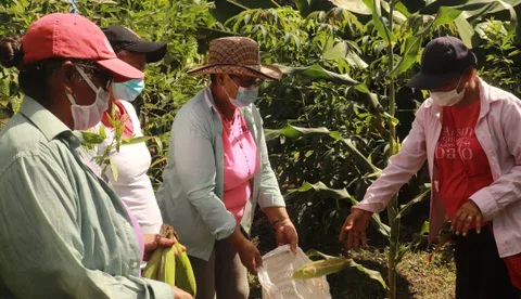 Internacional: Tres de cada 10 mujeres sienten que tardará de 10 a 30 años en que se genere equidad total en el campo