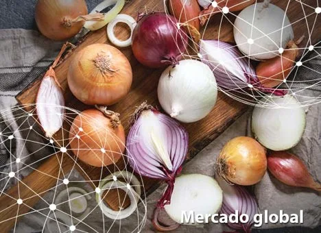 Resumen del mercado global de la cebolla
