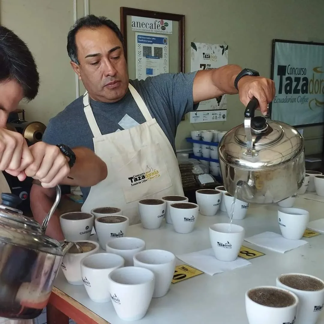 El 29 de octubre se conocerá al ganador del concurso Taza Dorada