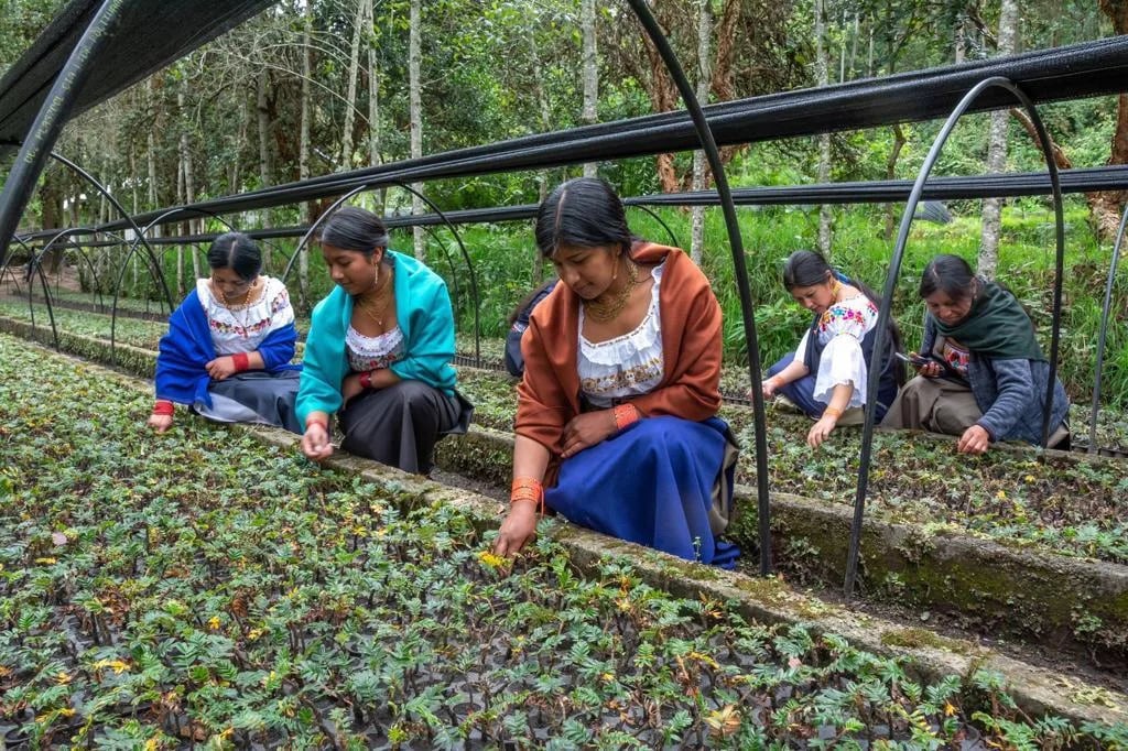 Aporte internacional para proteger los bosques nativos imbabureños