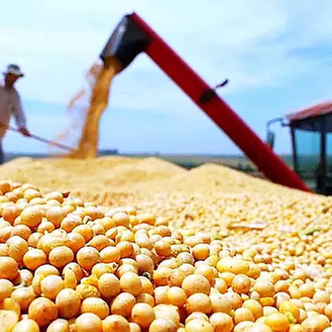Internacional-Ussec: “Perú es un mercado muy interesante para nosotros de aquí a 2 a 5 años”