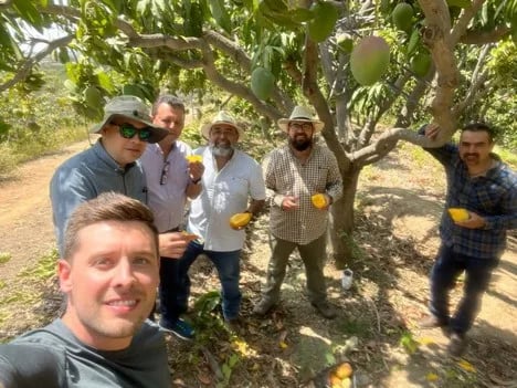 Internacional: Más y mejores mangos de Perú esta campaña