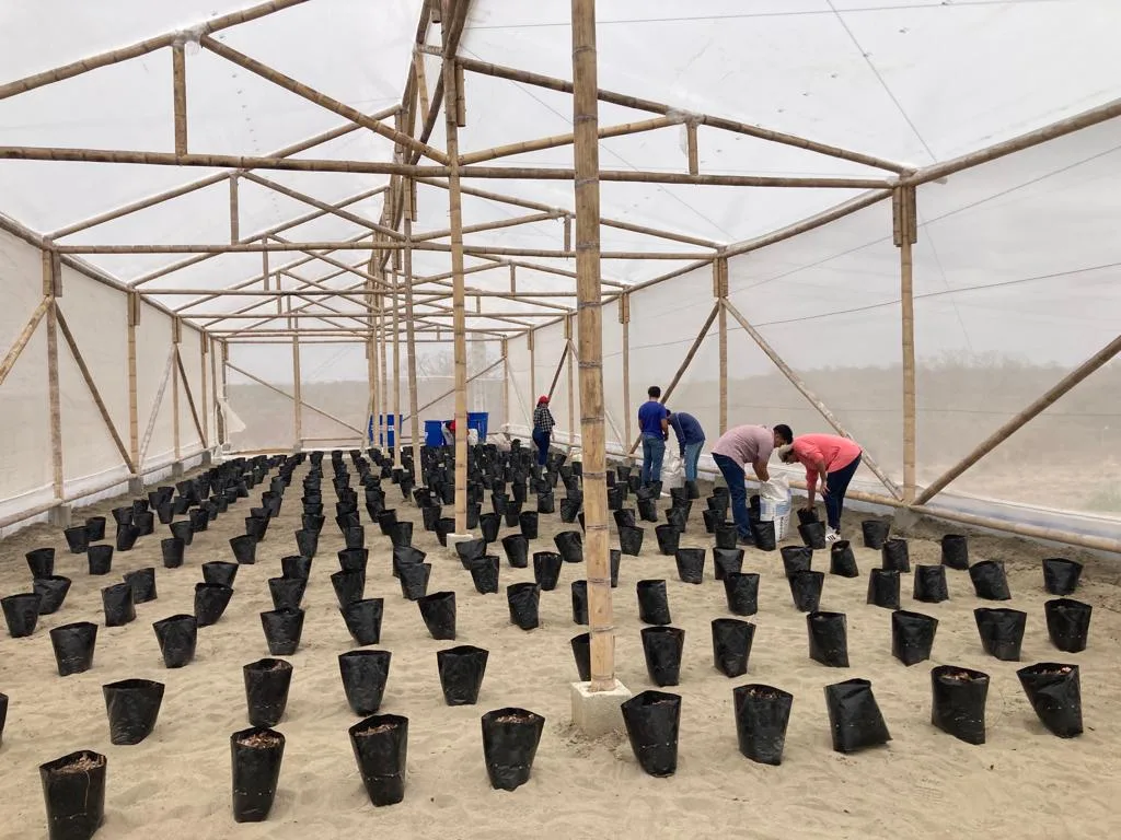 1eras Jornadas de Transferencia de Tecnologías en Agricultura Protegida en Ecuador