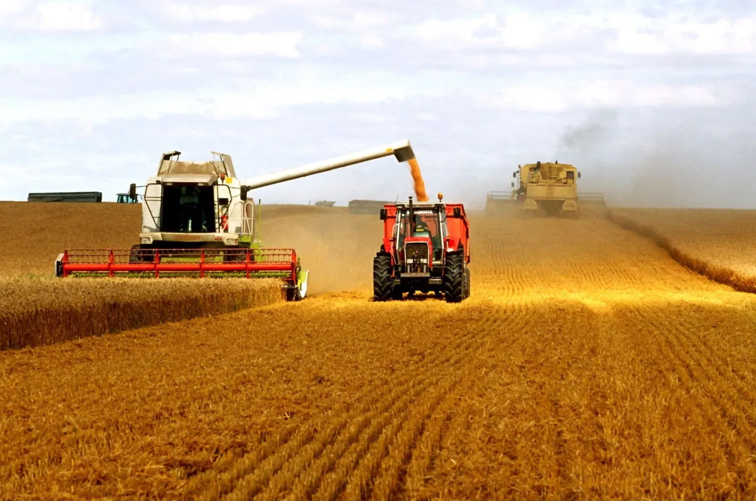 Internacional: Los países de la OCDE abordan en París el bloqueo de Rusia al grano ucraniano