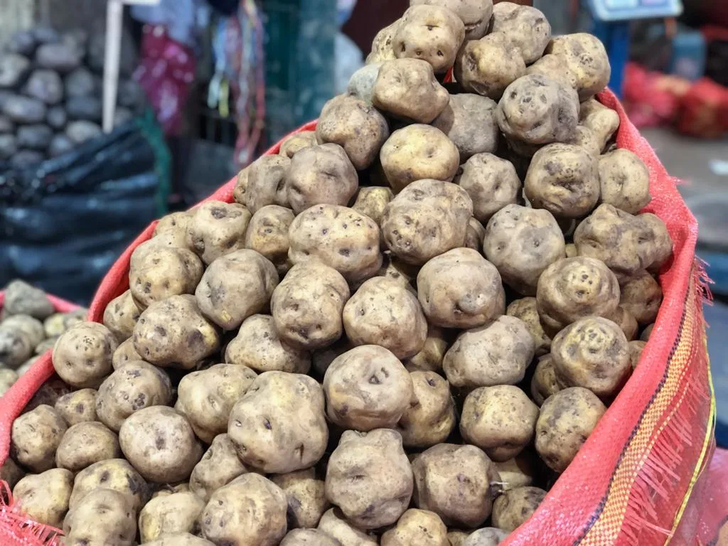 Internacional-Papa, arroz y maíz: ¿precios 2023?