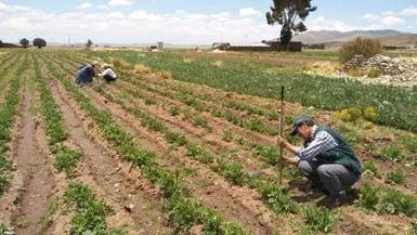Internacional: Bloqueos se suman a problemas relacionados a la urea y sequías en el agro