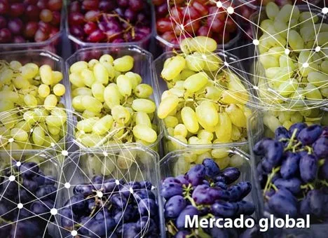 Resumen del mercado global de la uva