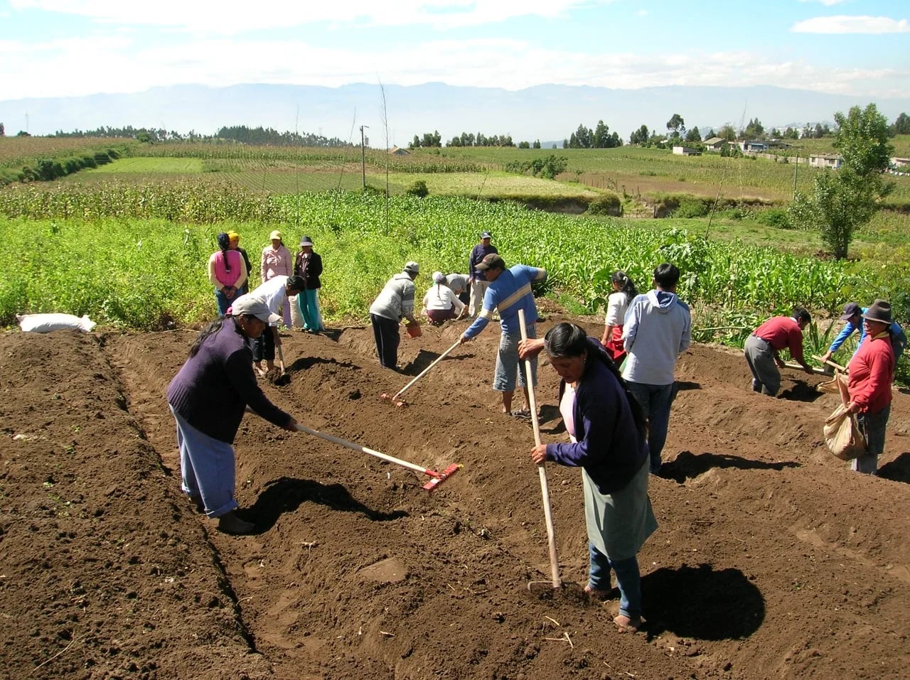 El nuevo salario mínimo cobijará también a trabajadores agropecuarios