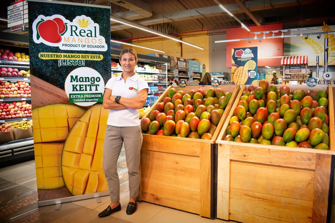 Variedad de mango keitt busca posicionarse en el mercado ecuatoriano