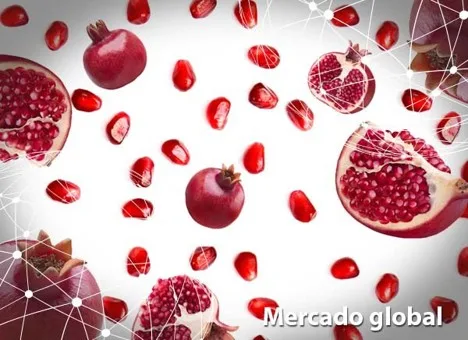Resumen del mercado global de la granada