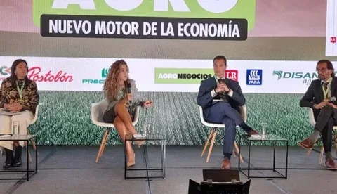 Internacional Colombia: "El campo está envejeciendo, la mayoría de los agricultores están entre 50 y 70 años"