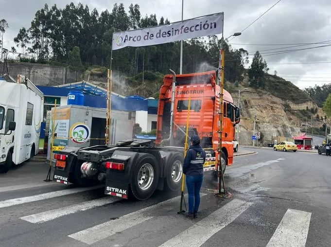 Ecuador protege su banano con desarrollo e importación de más variedades resistentes al Fusarium, que se expande en la región