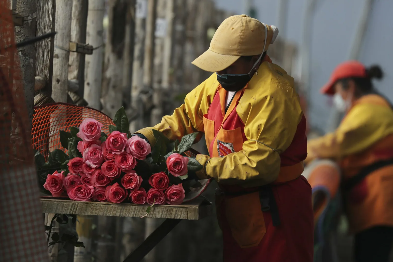 Nuevas tecnologías alargan el tiempo de vida de las flores