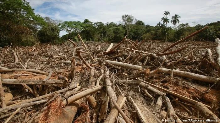 Empresa privada firmará compromiso contra deforestación y trabajo infantil