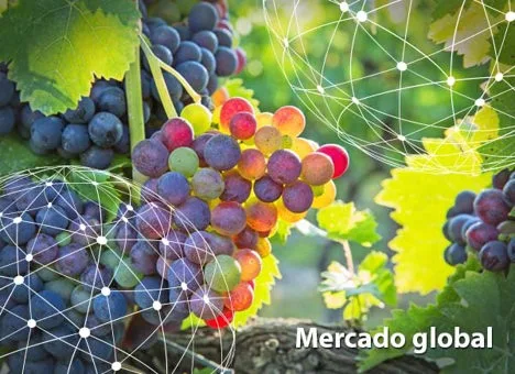 Resumen del mercado global de la uva