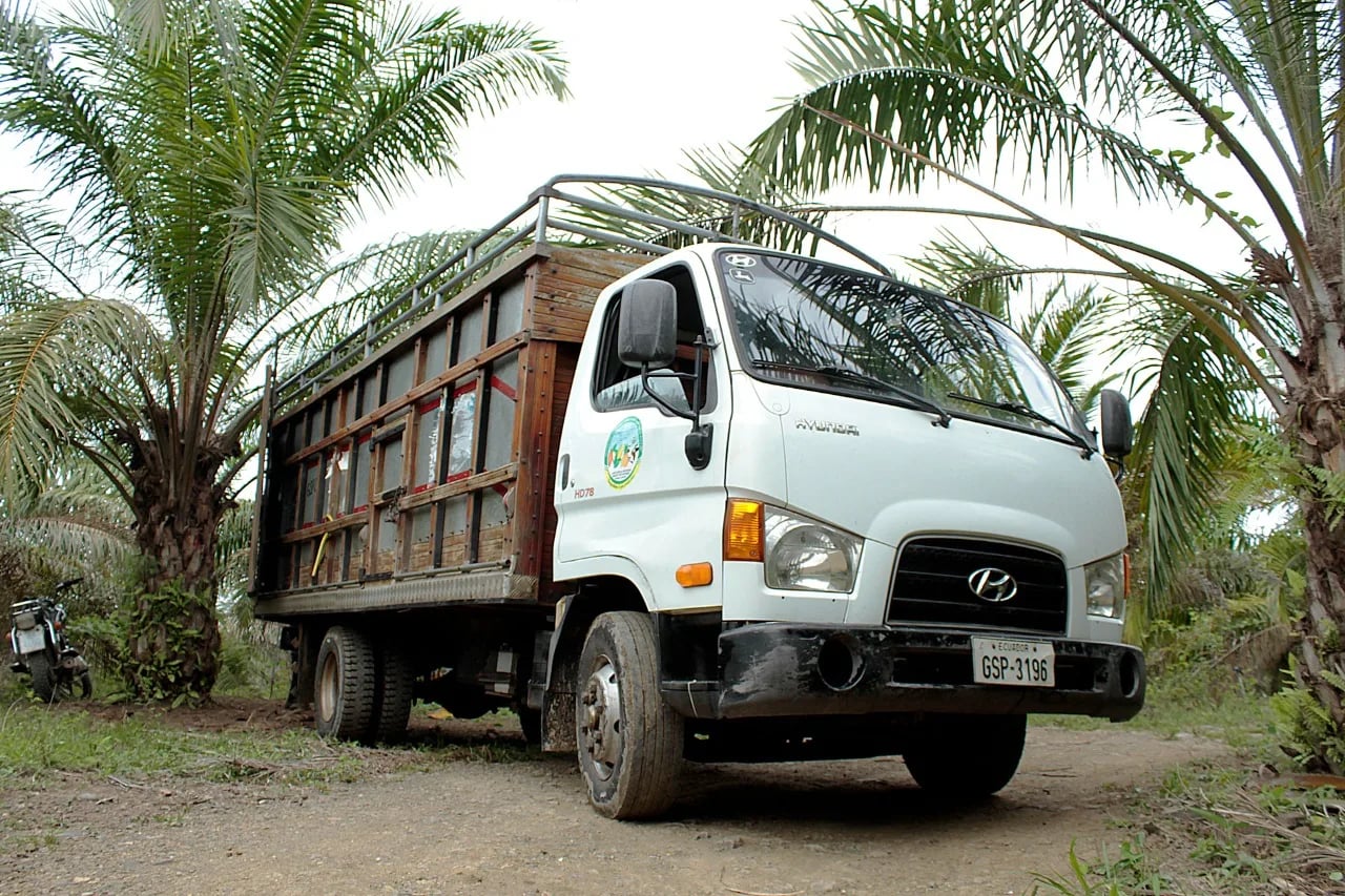 Transporte de carga, herramienta importante para productores
