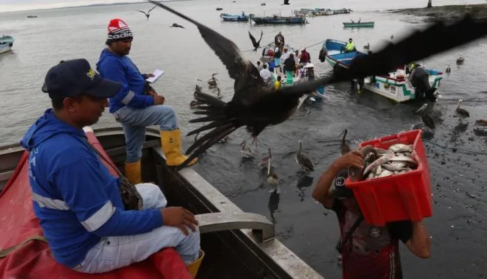 Guayaquil: la ruralidad tiene una lista de necesidades por resolver