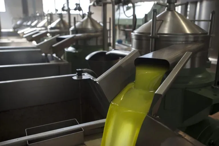 Internacional: El precio del aceite sube más en el campo que en las tiendas y lastra las exportaciones