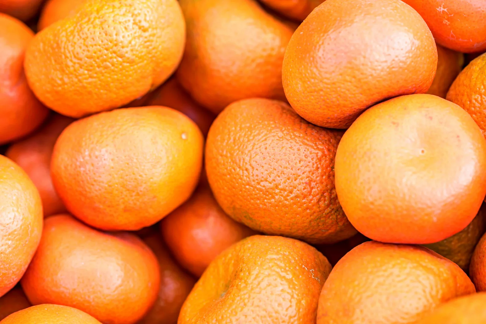 Internacional: Los productores peruanos planean reducir sus extensiones de cultivo de mandarinas y naranjas