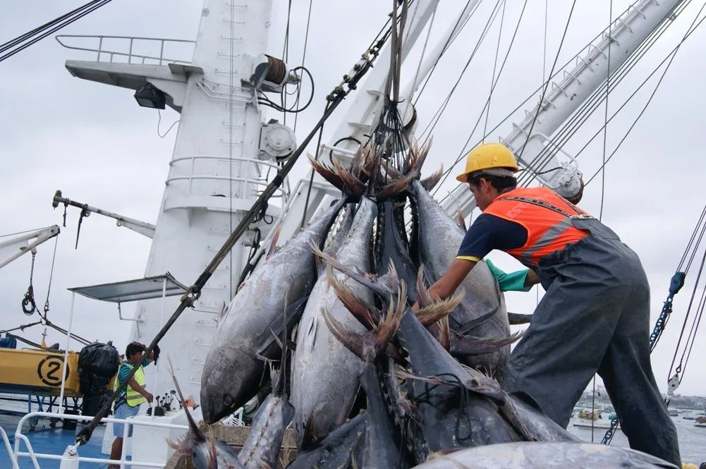 ECUADOR: Debaten reformas para combatir delitos en mares y ríos